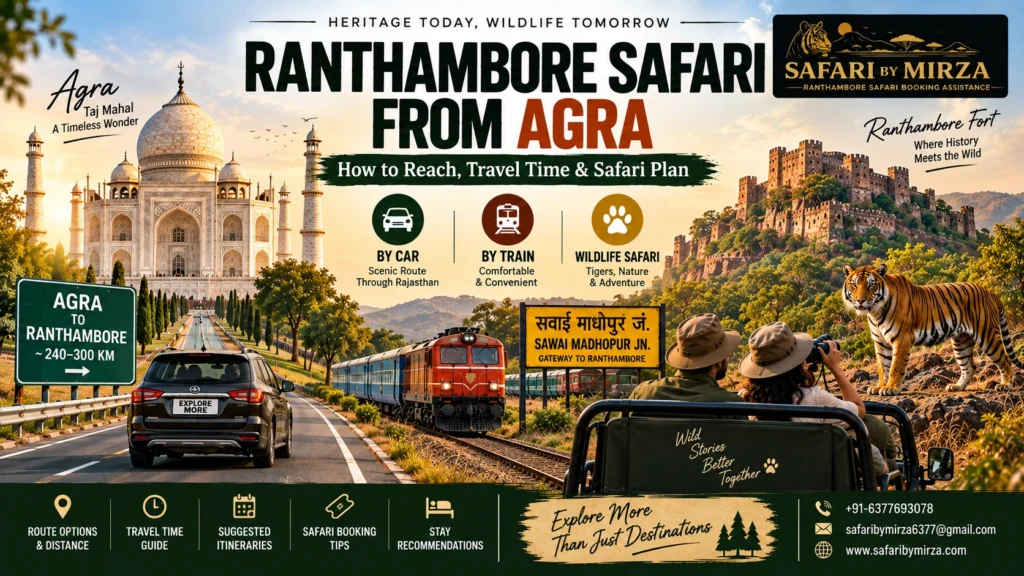 Ranthambore safari from Agra with road route, train travel and tiger safari